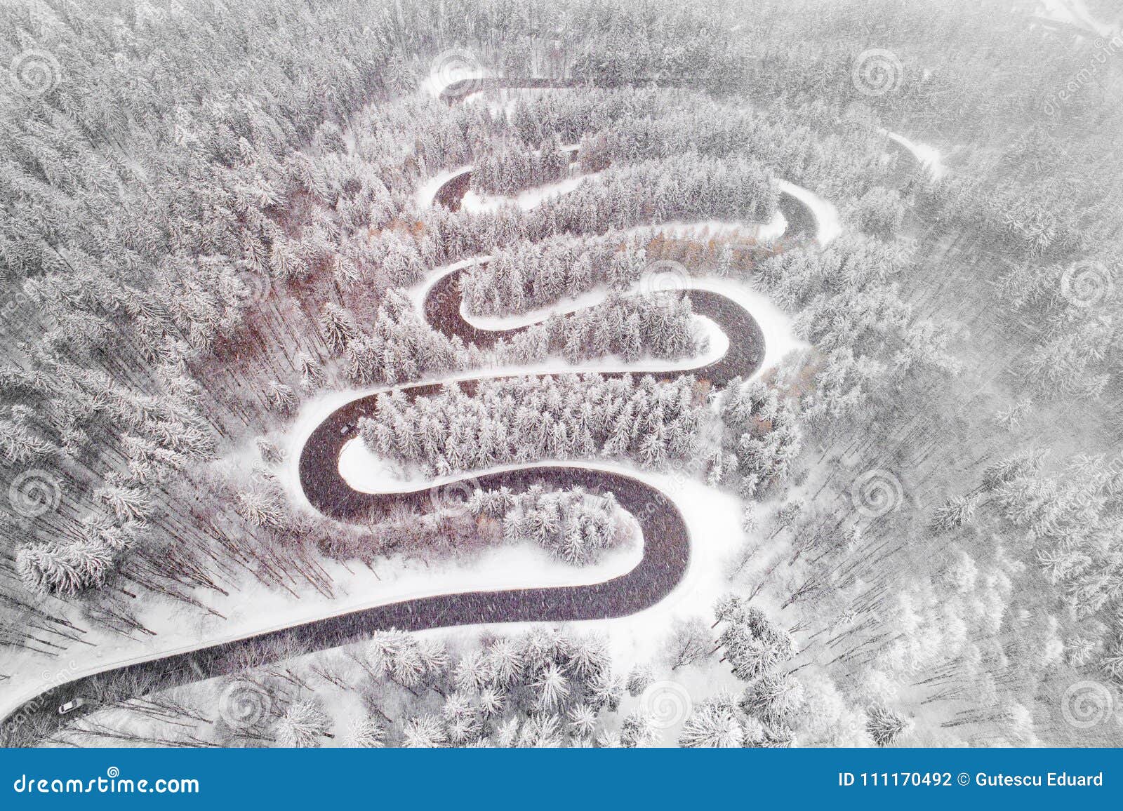 Дорога змейка. Змеи на снегу. Змейка снег. Снежная змея. Дорога змейкой.