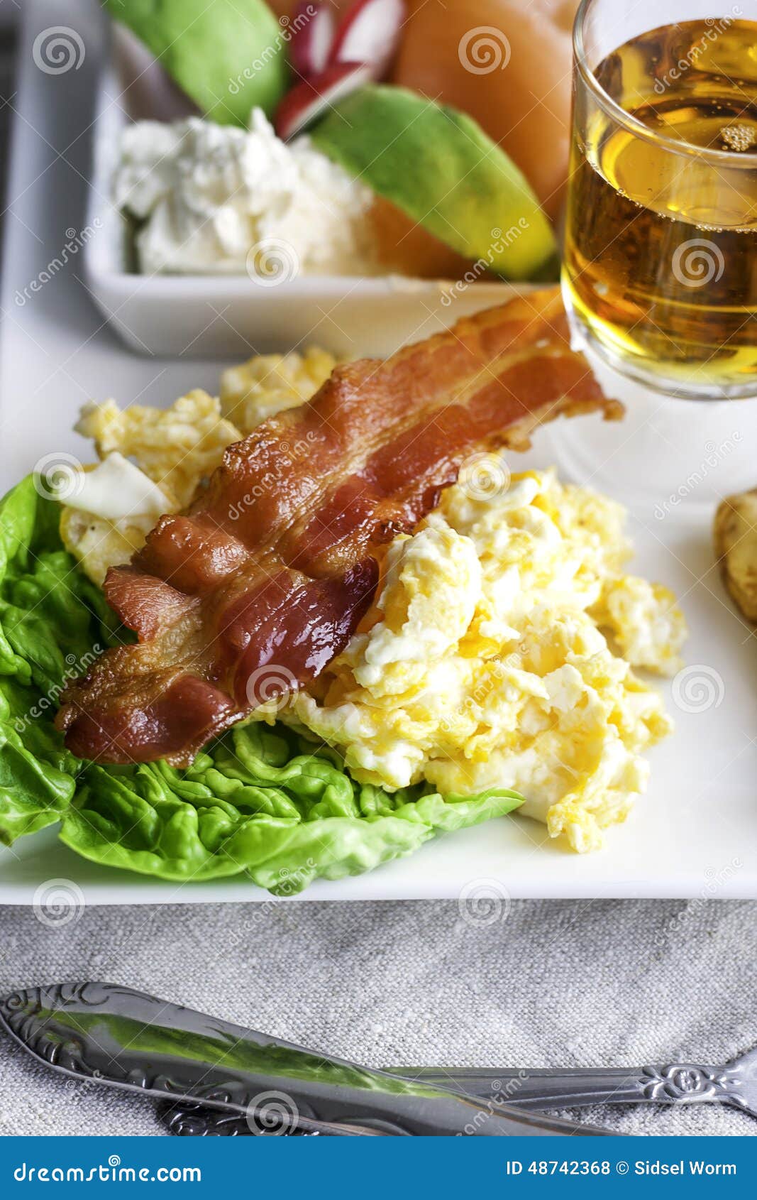 Brunch Plate stock photo. Image of lunch, bacon, dinner 48742368