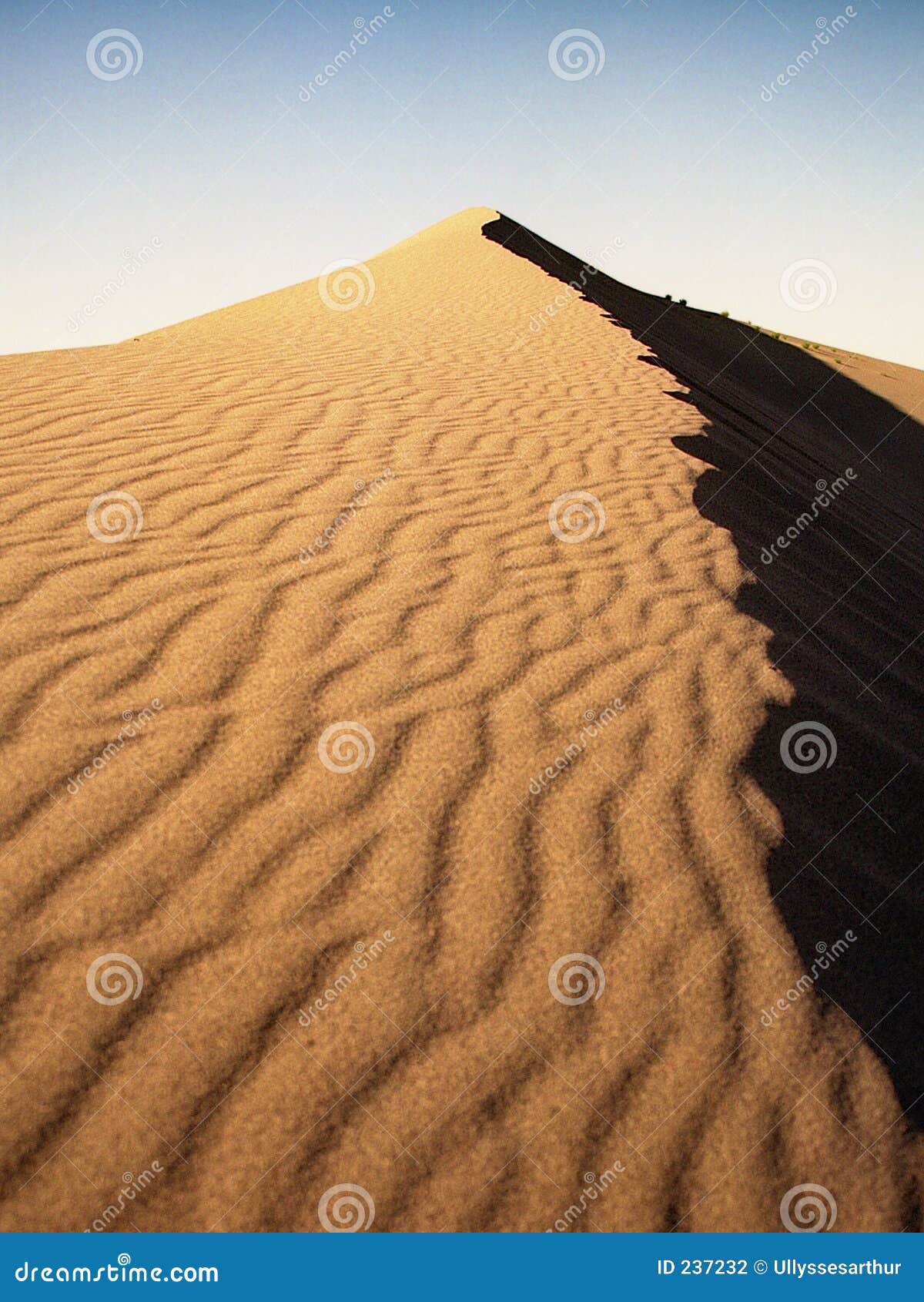 bruneau sand dunes