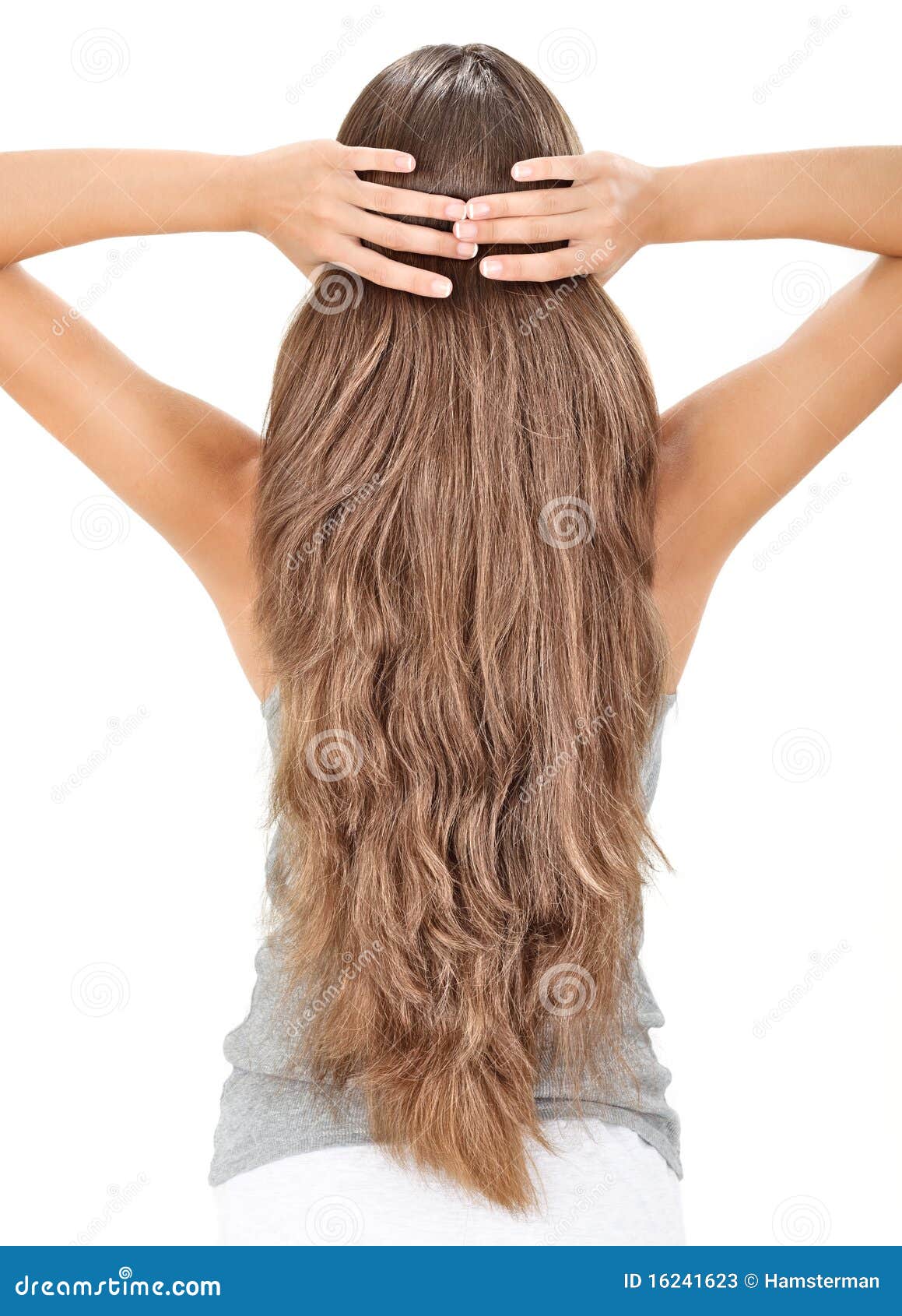 Brunette Lady Holding Long Hairs, View from Back Stock Image - Image of  isolated, haired: 16241623