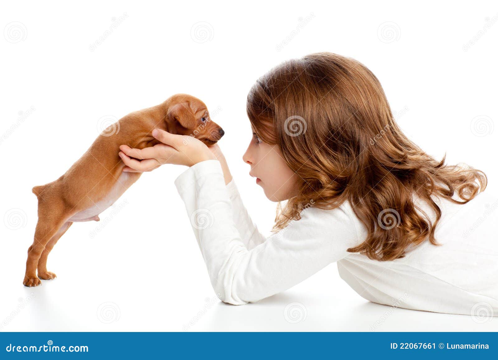 8,027 Brunette Girl Dog Photos - Free & Royalty-Free Stock Photos from  Dreamstime