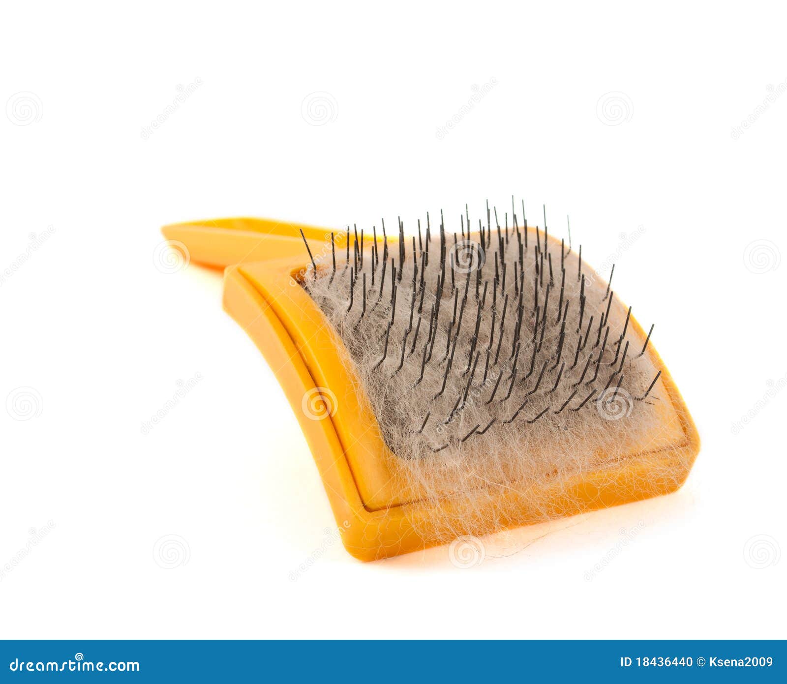 Brush for animals stock photo. Image of shot, macro, animal 18436440