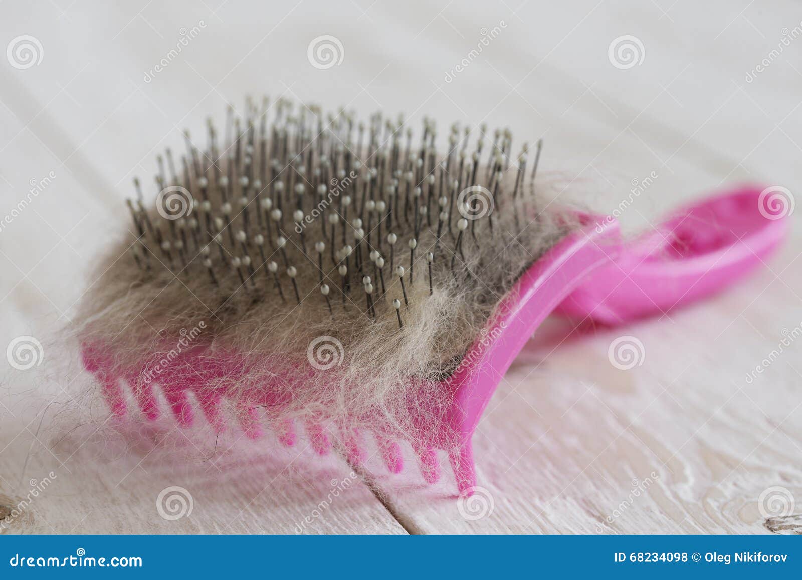 Brush for cats stock photo. Image of feline, fluffy, equipment 68234098