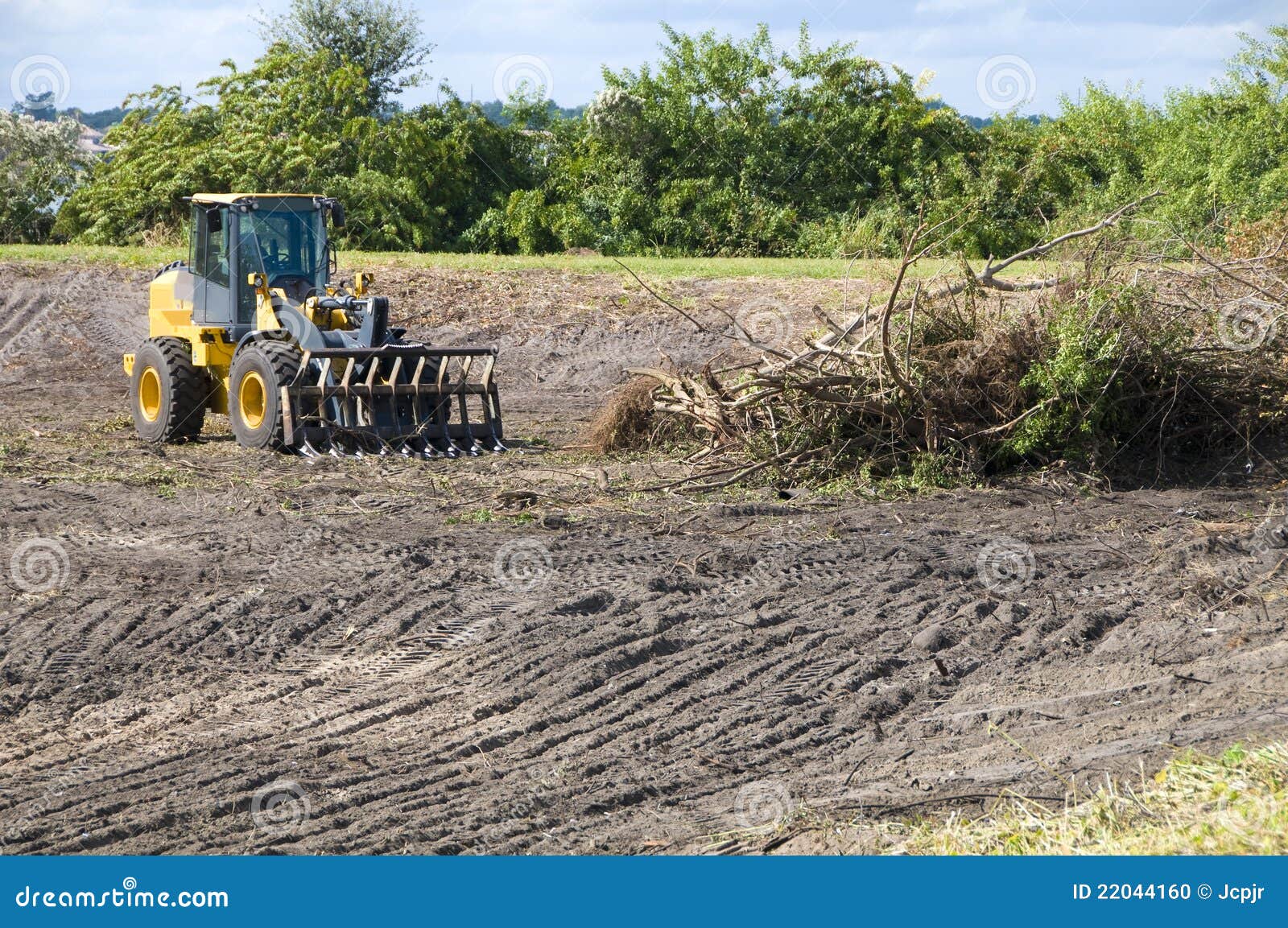 Brush Clearing Stock Photo - Image: 22044160