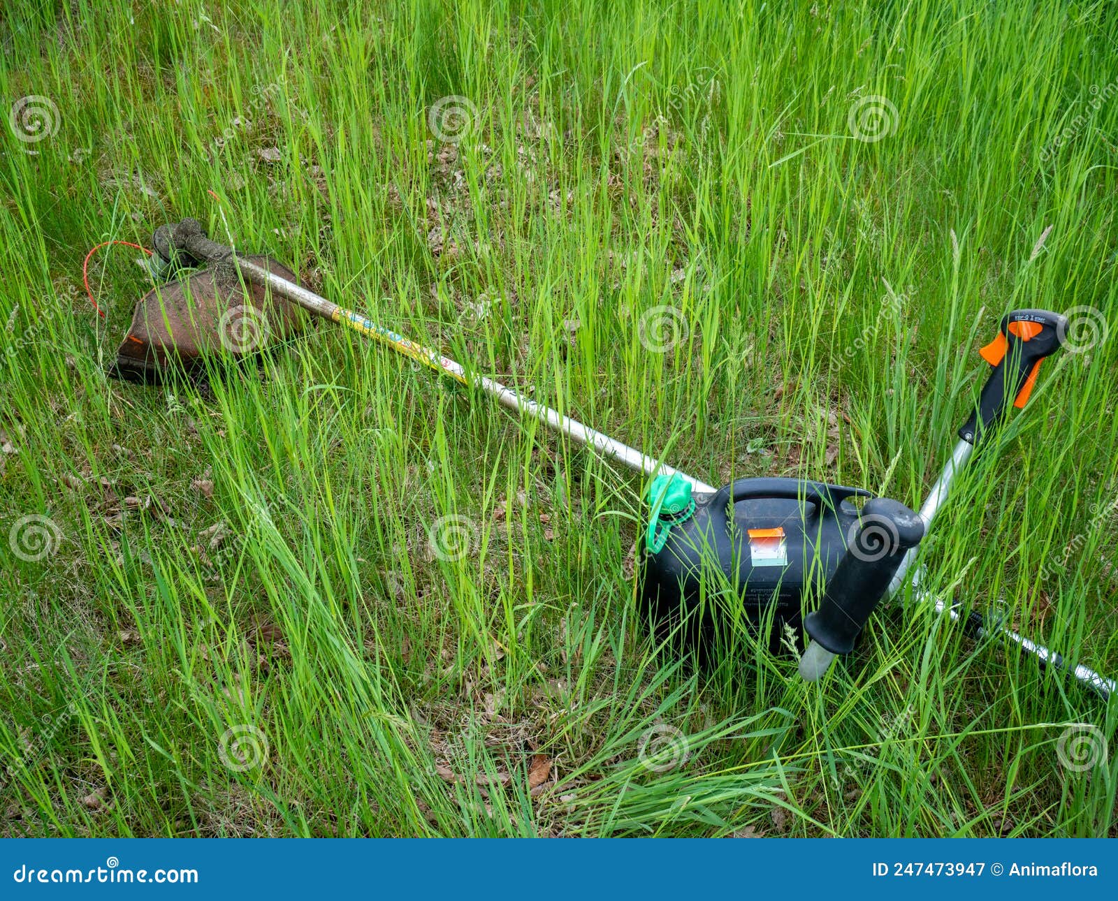 Brush Cutter in a Meadow Mowing Equipment Stock Image Image of grass
