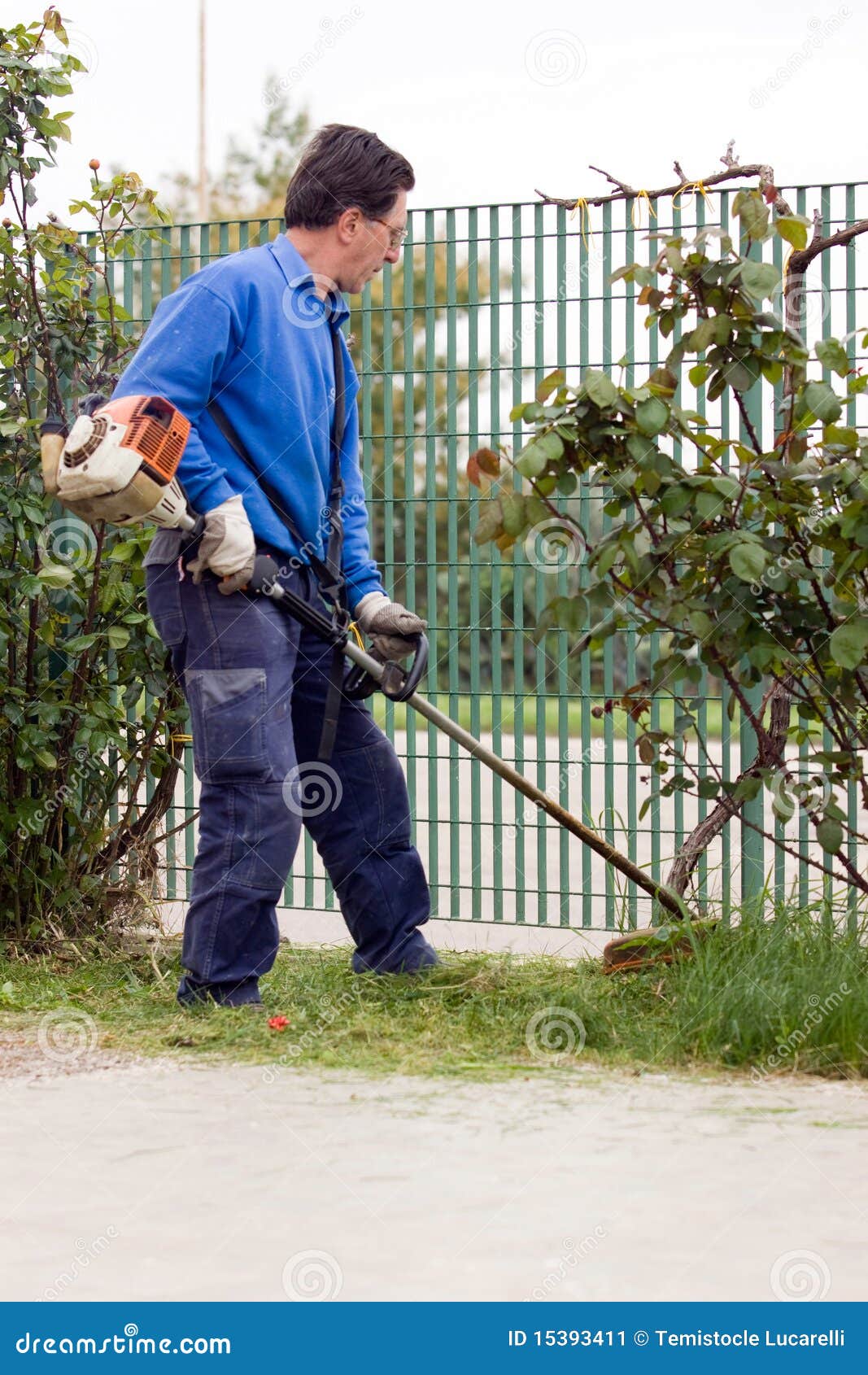 Brush cutting stock image. Image of turf, trimming, agriculture 15393411