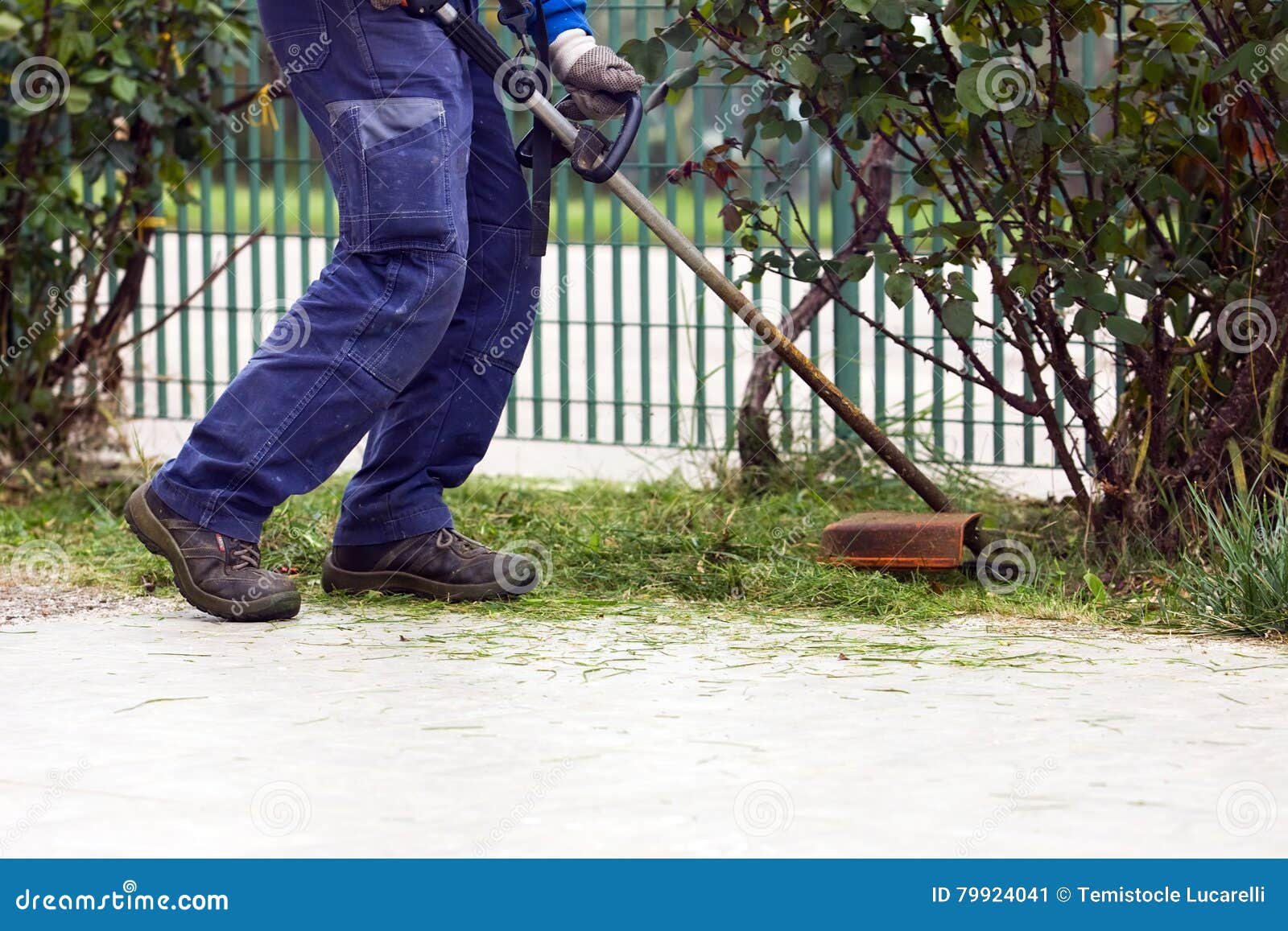 Brush cutting stock image. Image of park, nature, turf 79924041