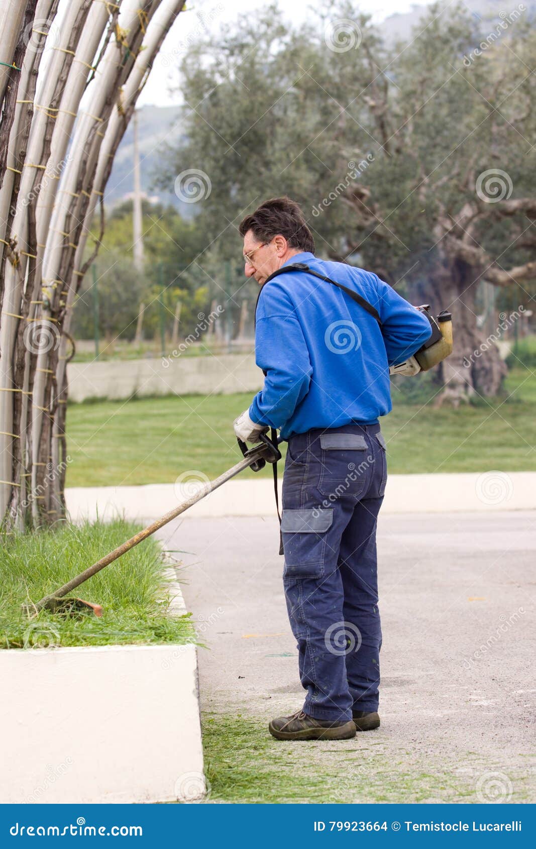 Brush cutting stock photo. Image of agriculture, gardener 79923664