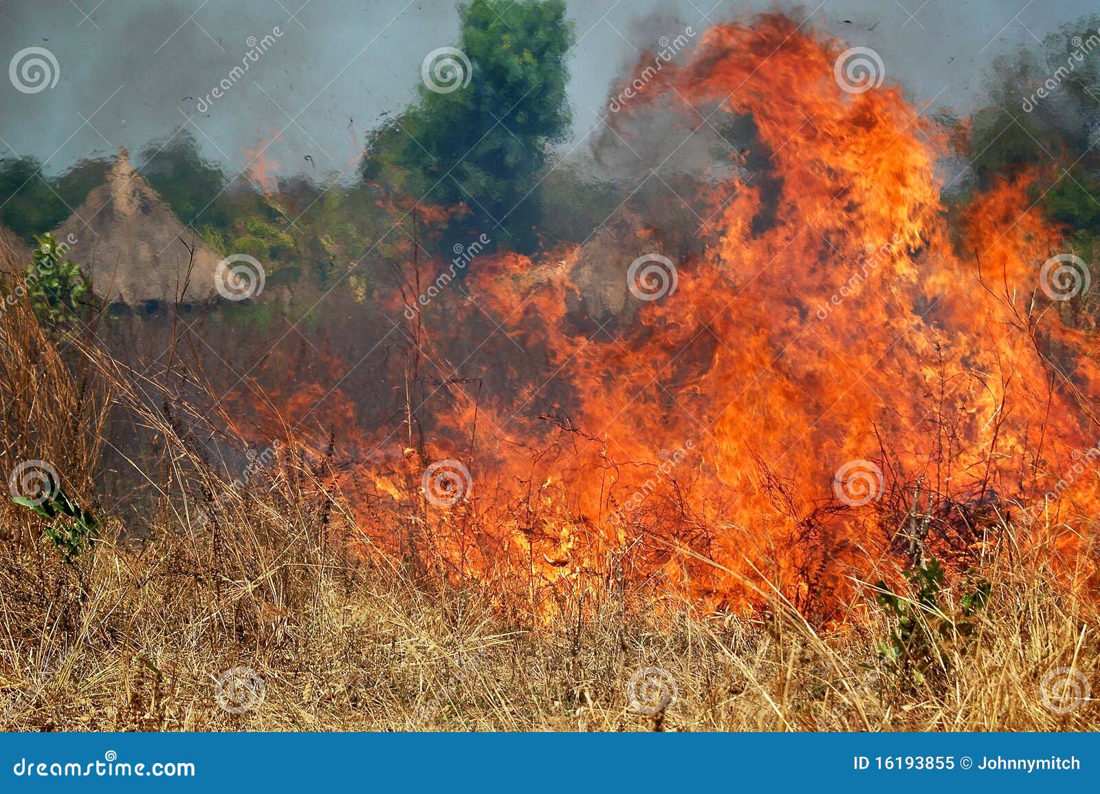 brush fire