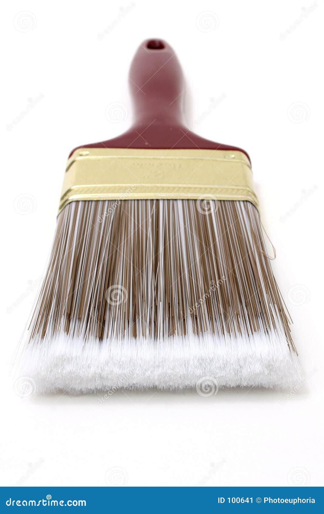 brush with great detail in top bristles