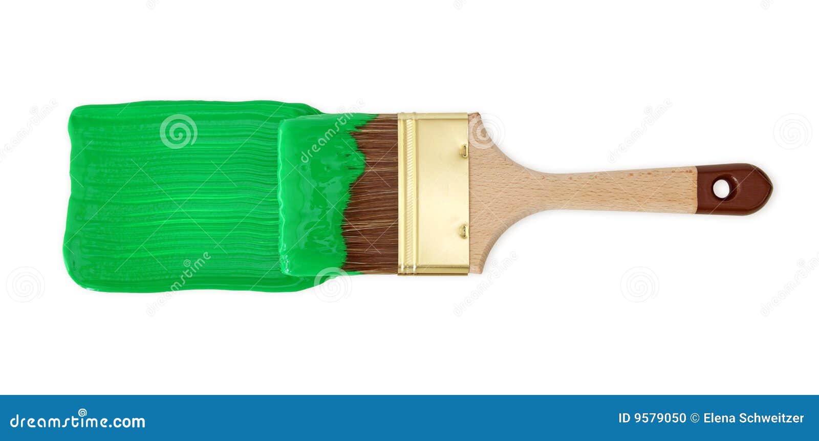 Brush with green paint stock photo. Image of green, colorful 9579050