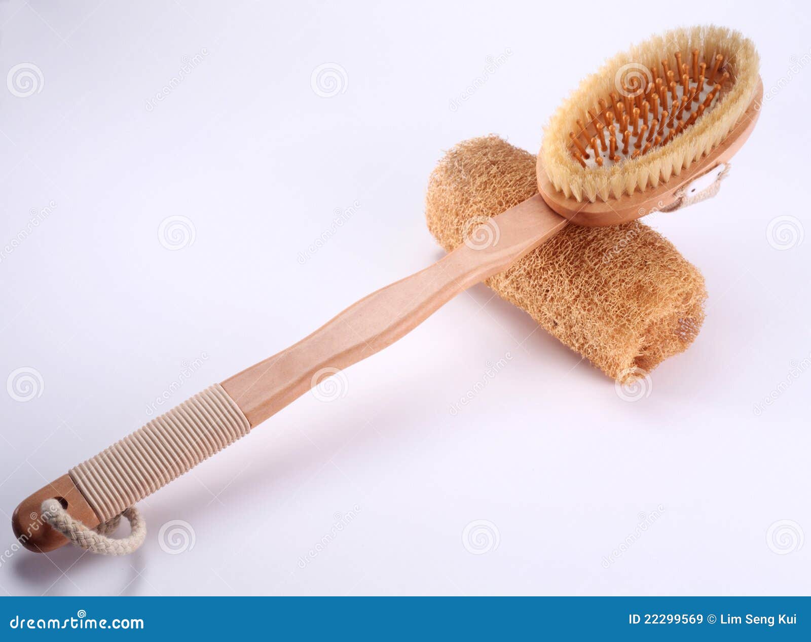 Brush and loofah stock image. Image of object, nature 22299569