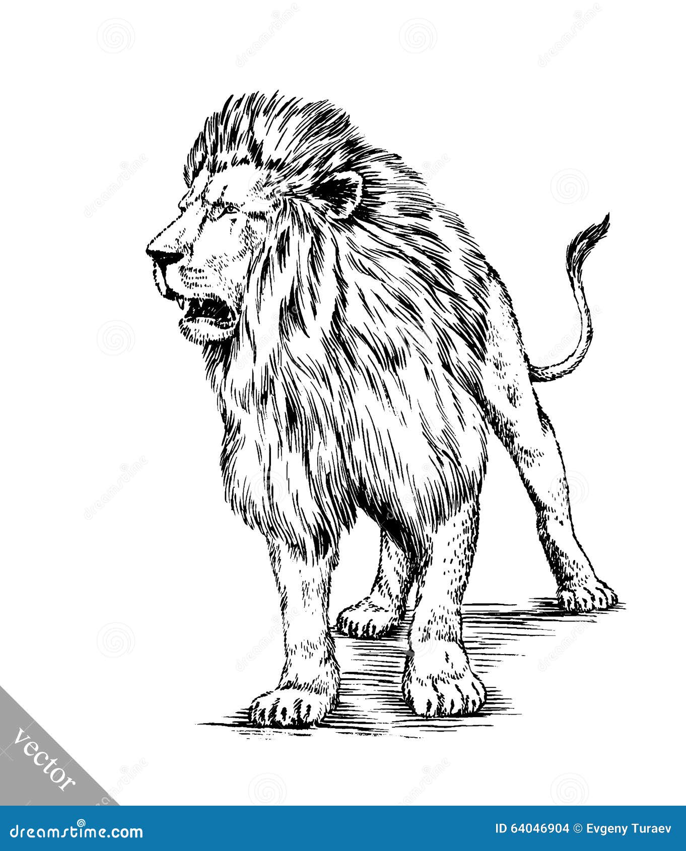 Brush Painting Ink Draw Isolated Lion Illustration Stock Vector ...
