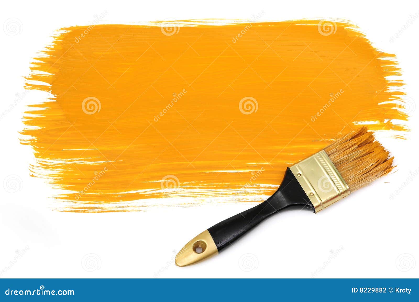 yellow paintbrush photos yellow paintbrush photos