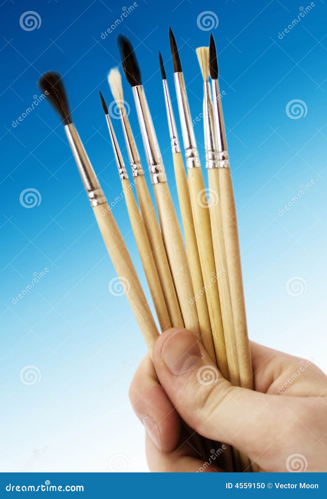 Brushes for Painting and Hand Stock Photo Image of fingers, concepts