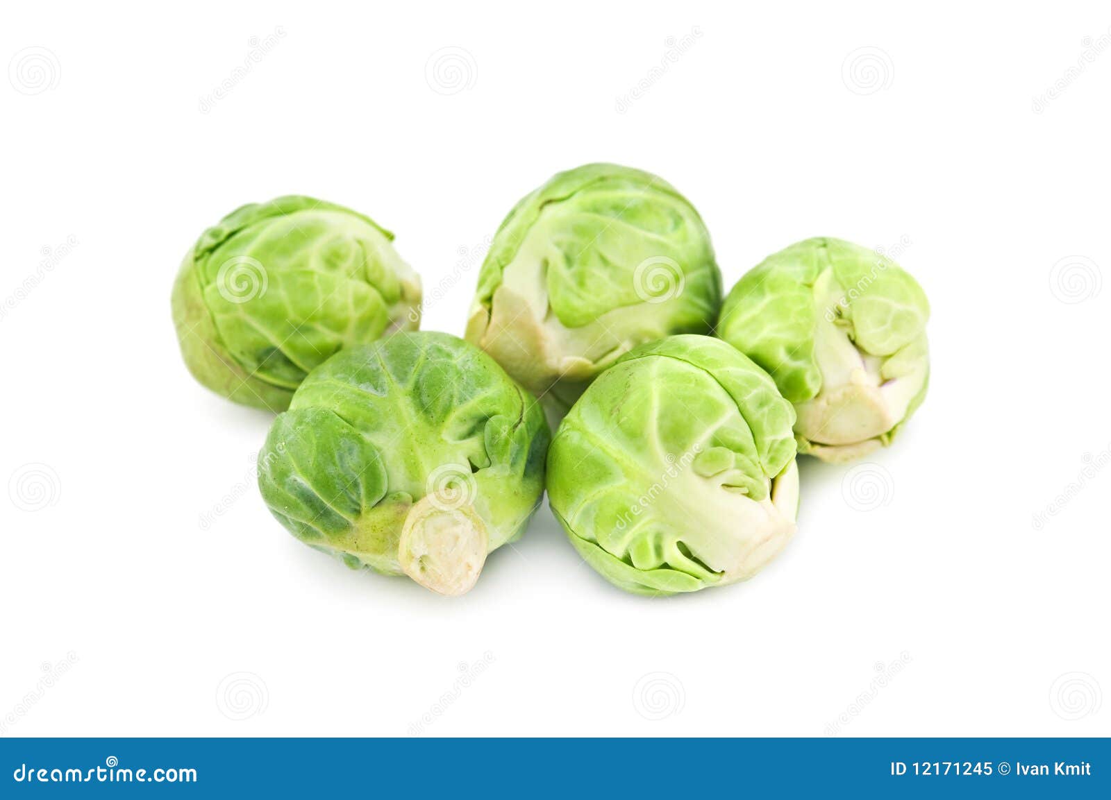 Brussel stock image. Image of fresh, freshness, cabbage 12171245