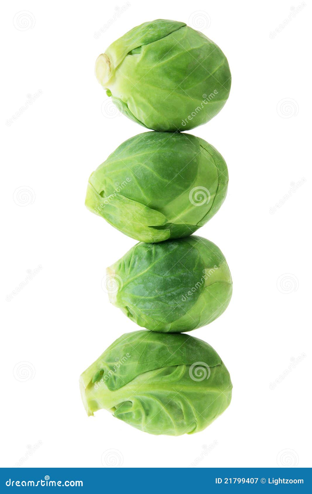 Brussel Sprouts stock image. Image of fiber, cutout, cabbage 21799407