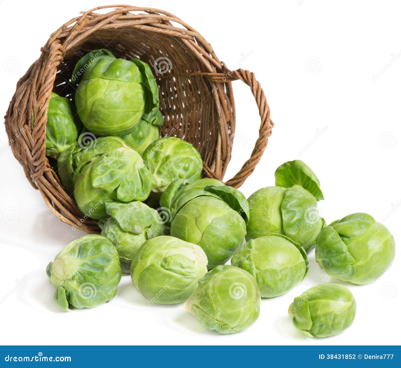 Brussel Sprouts ( Brassica Oleracea L.) Stock Photo Image of