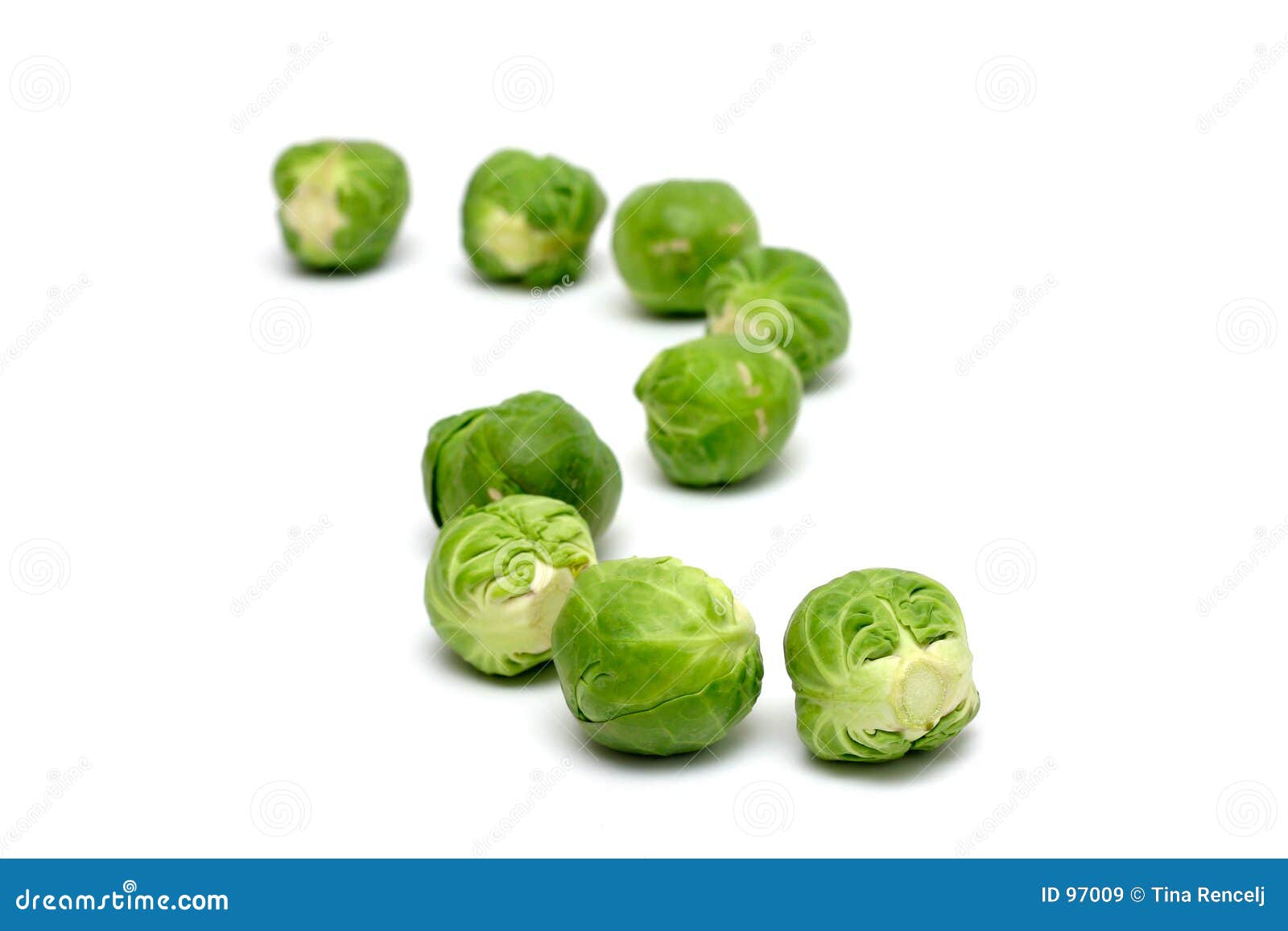 Brussel Sprouts in a Row stock image. Image of vitamins 97009