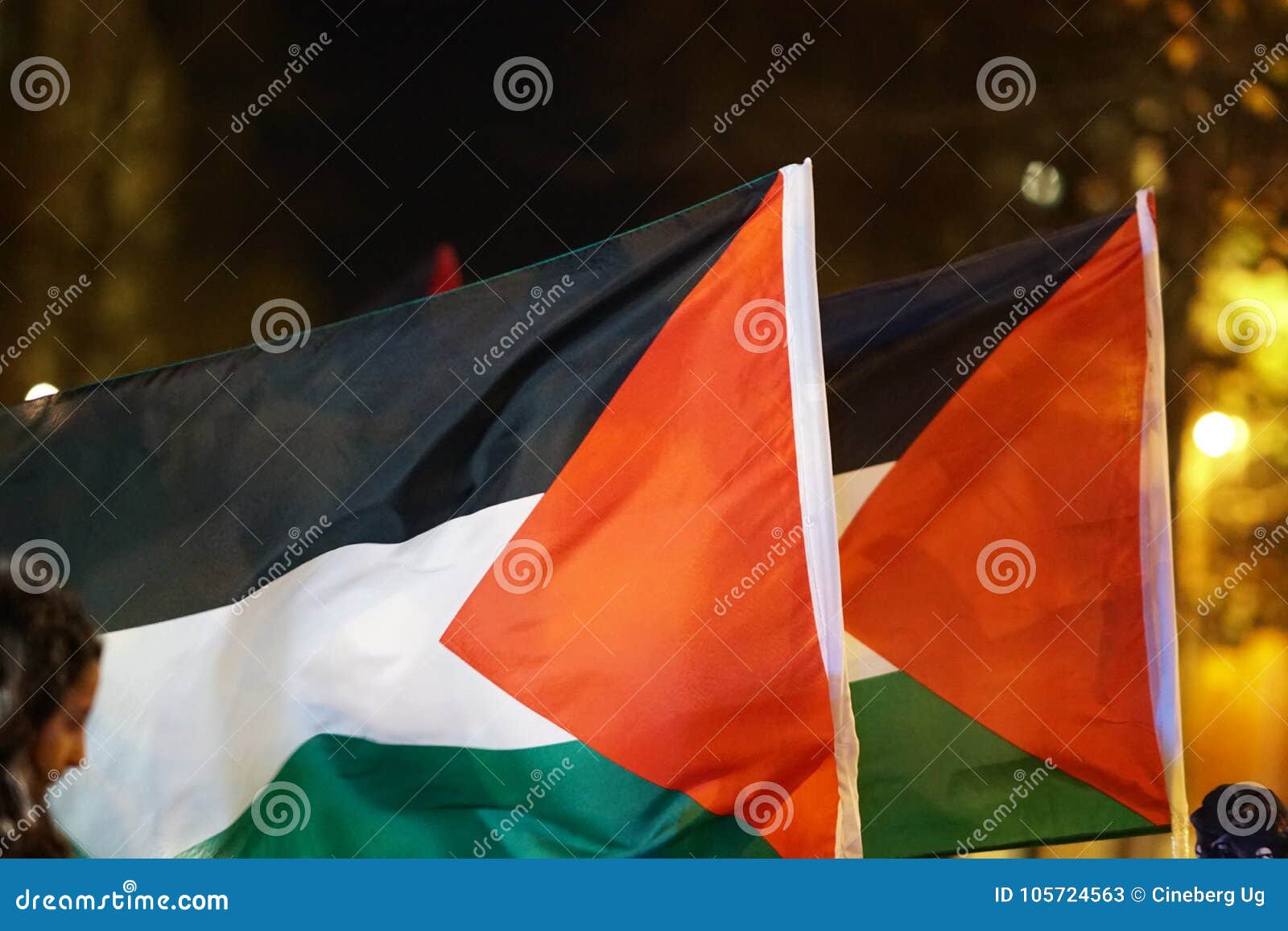 Palestinian Flag Fluttering Editorial Stock Photo - Image of palestine ...