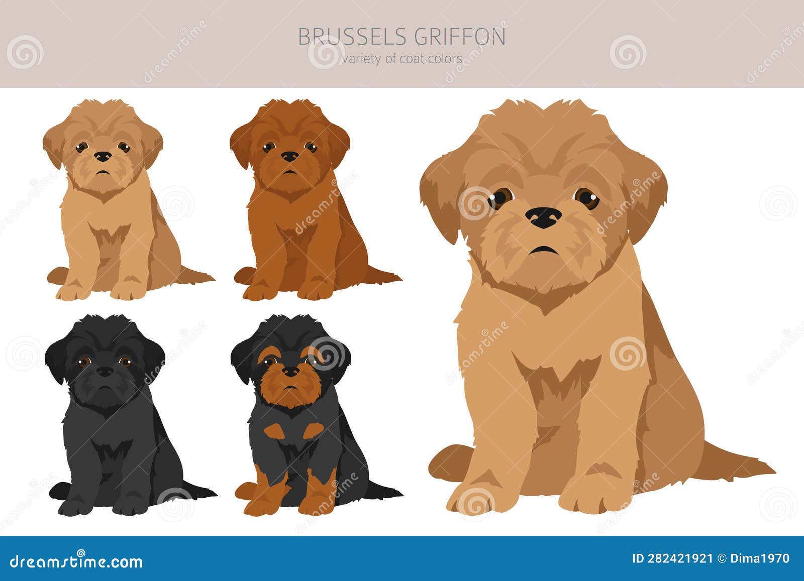 Brussels Griffon Puppies Clipart. Different Coat Colors and Poses Set ...