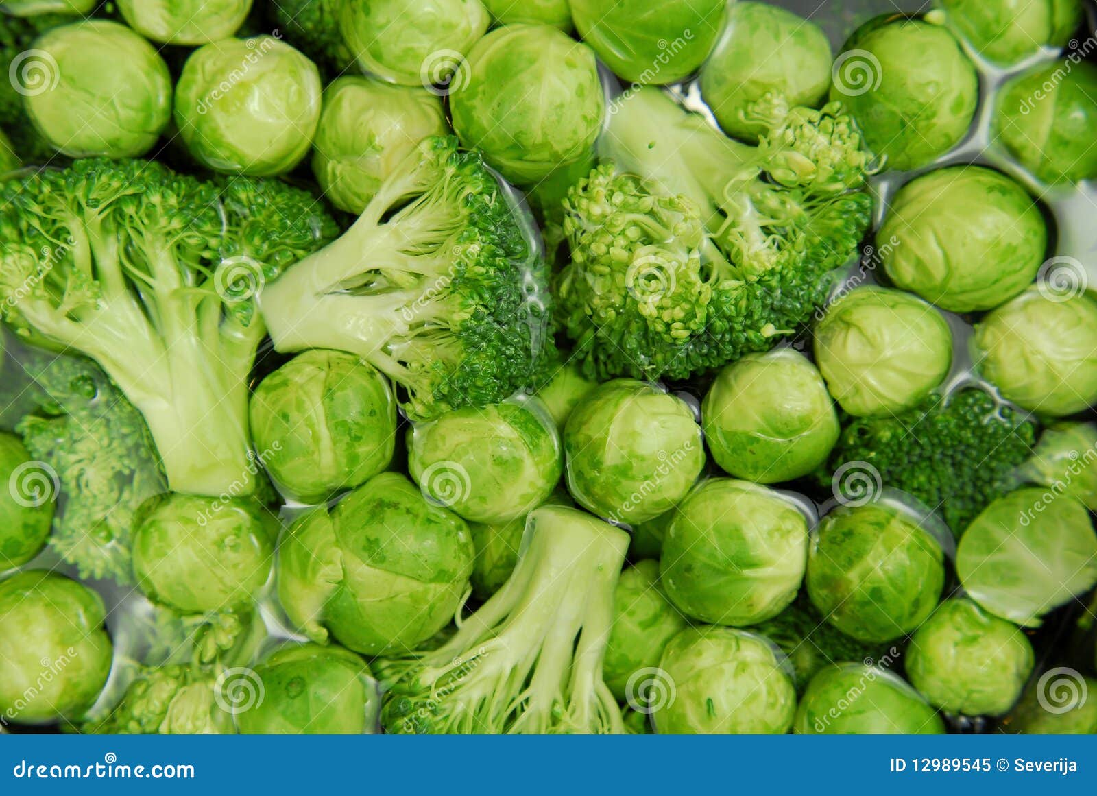 Brussels Sprouts and Broccoli Stock Image Image of group, ingredient