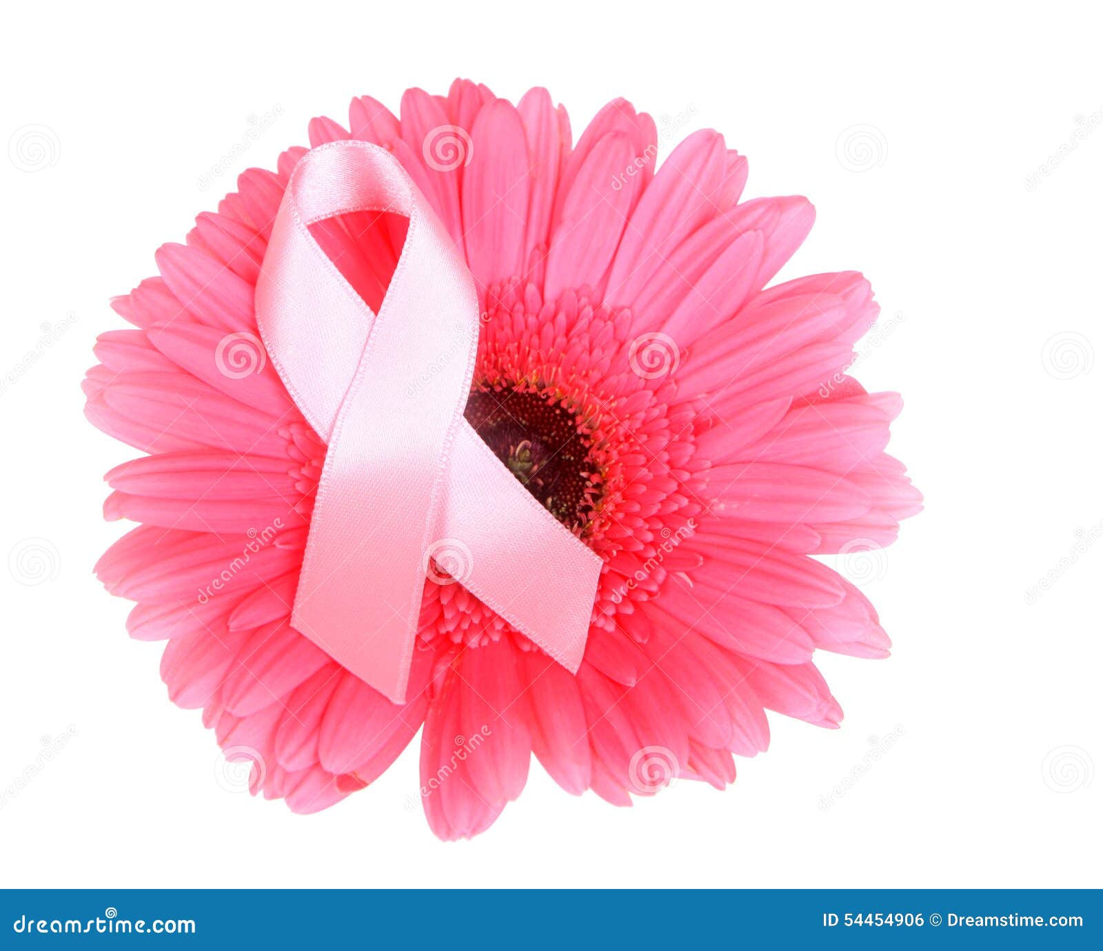 BrustkrebsBewusstseinsBand Auf Blume Stockfoto Bild von rosa