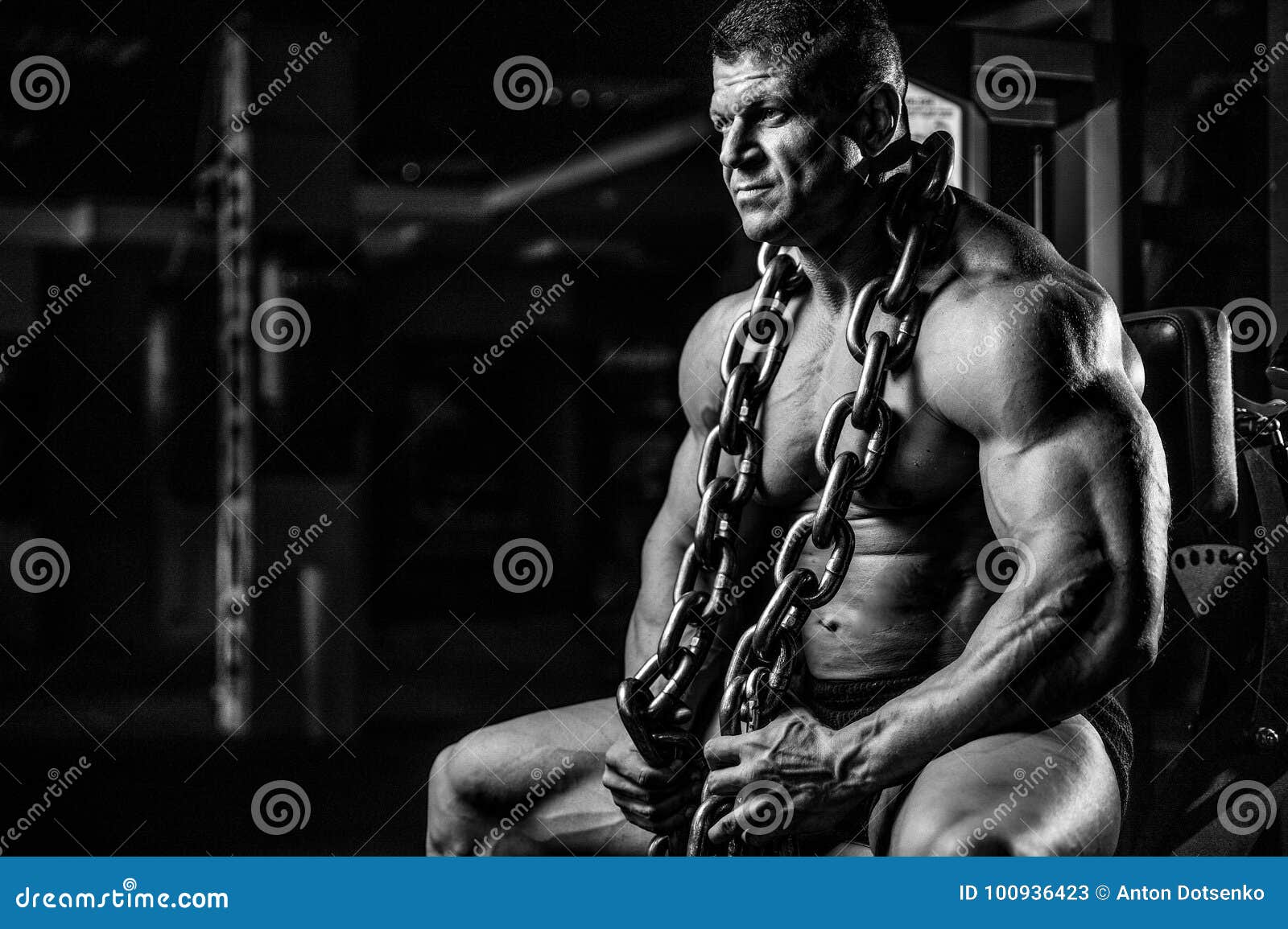 Best of Dominant sadistic shemale bodybuilder fuck guys lift and carry 34 New Sex Pics Tranny porn websites