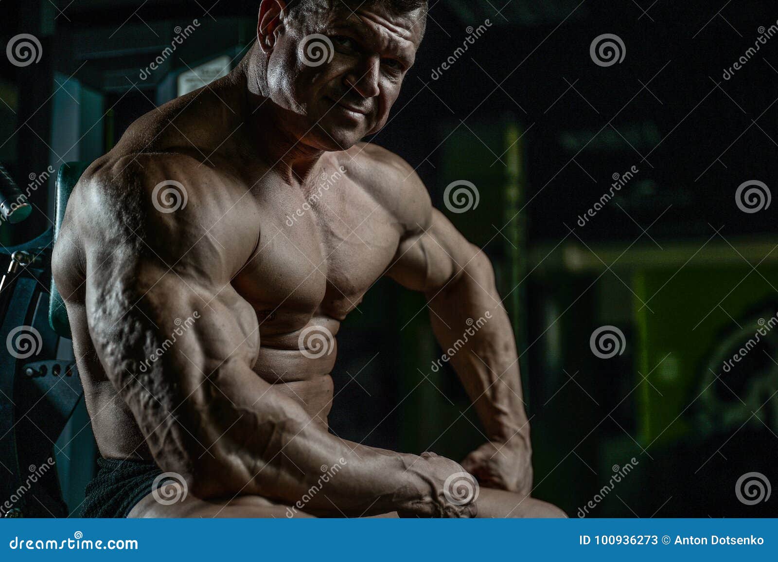 Brutal Caucasian Bodybuilder Working Out in Gym Stock Image - Image of ...