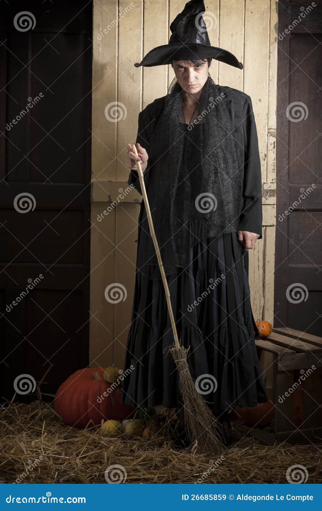 Bruxa com vassoura foto de stock. Imagem de anos, sorgo - 15901818
