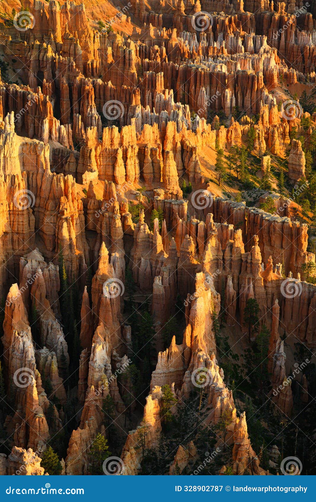 bryce amphitheater detail of hoodoo at the national park at sunrise