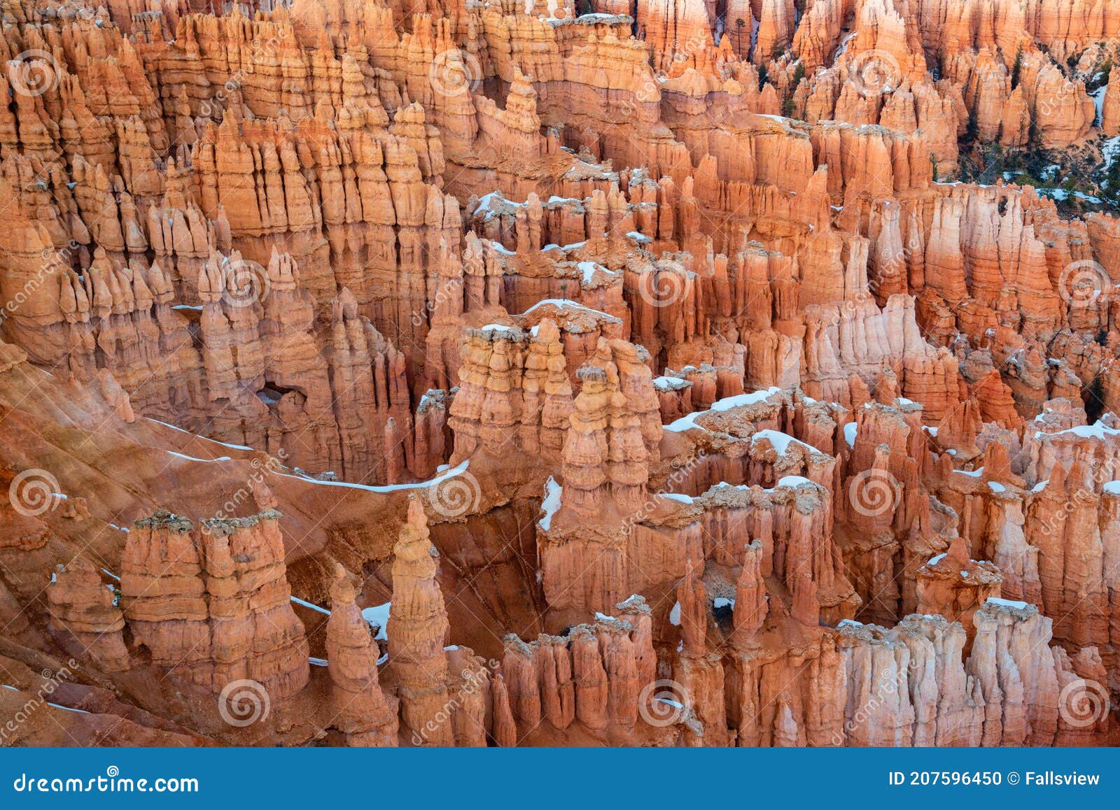 bryce amphitheater scene from sunrise point