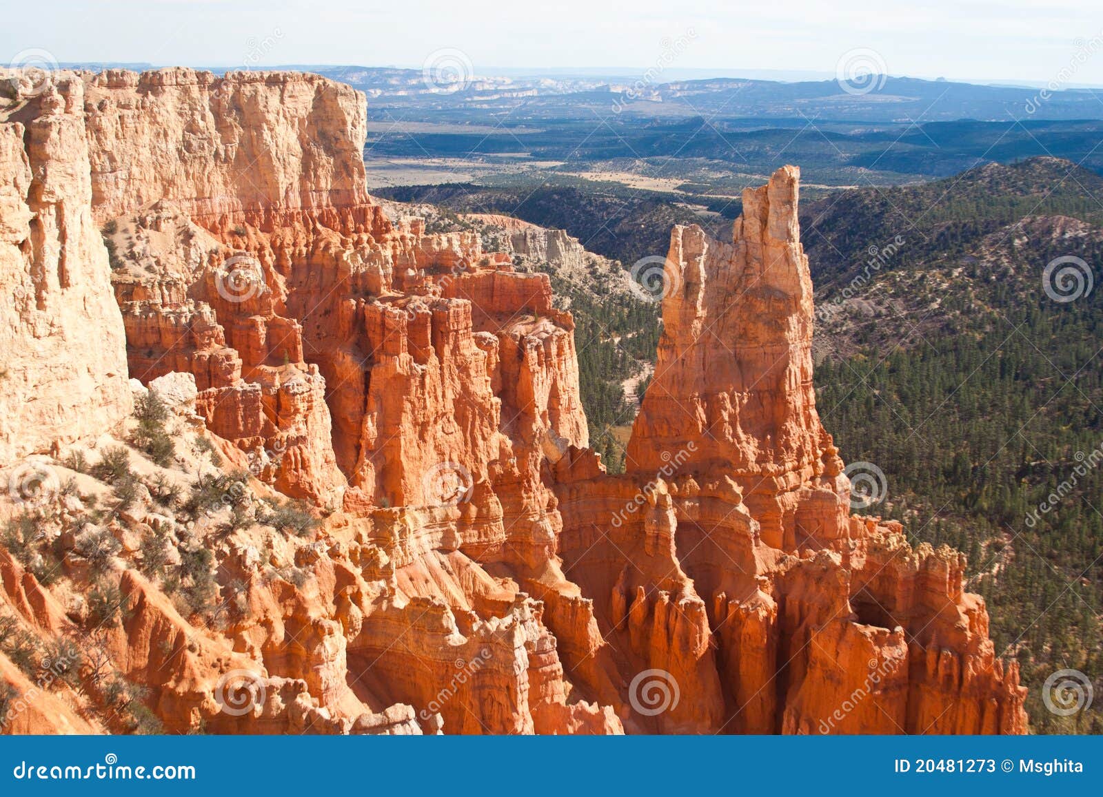 bryce canyon hoodoos 4