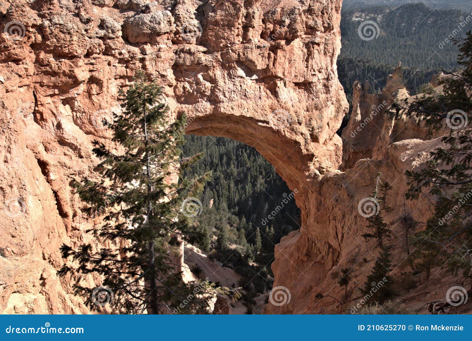 bryce canyon national park