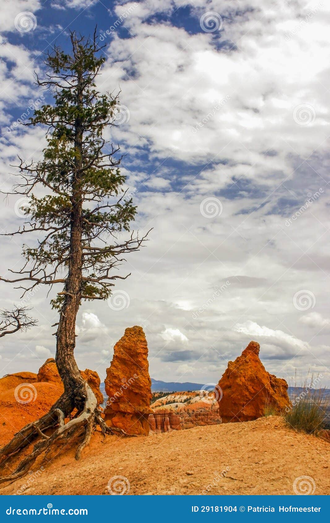 bryce-canyon-pinnacles- bryce-canyon-pinnacles-