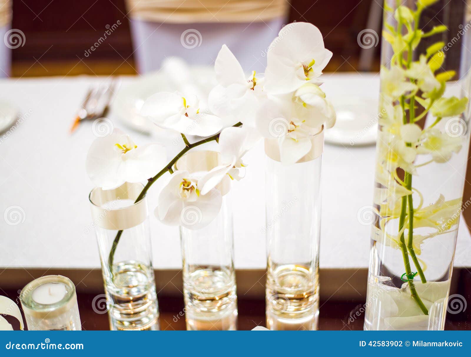 Bröllop för tabell för pargarneringdockor exponeringsglas inverterat. Gifta sig tabellgarnering med orkidén och glasföremål