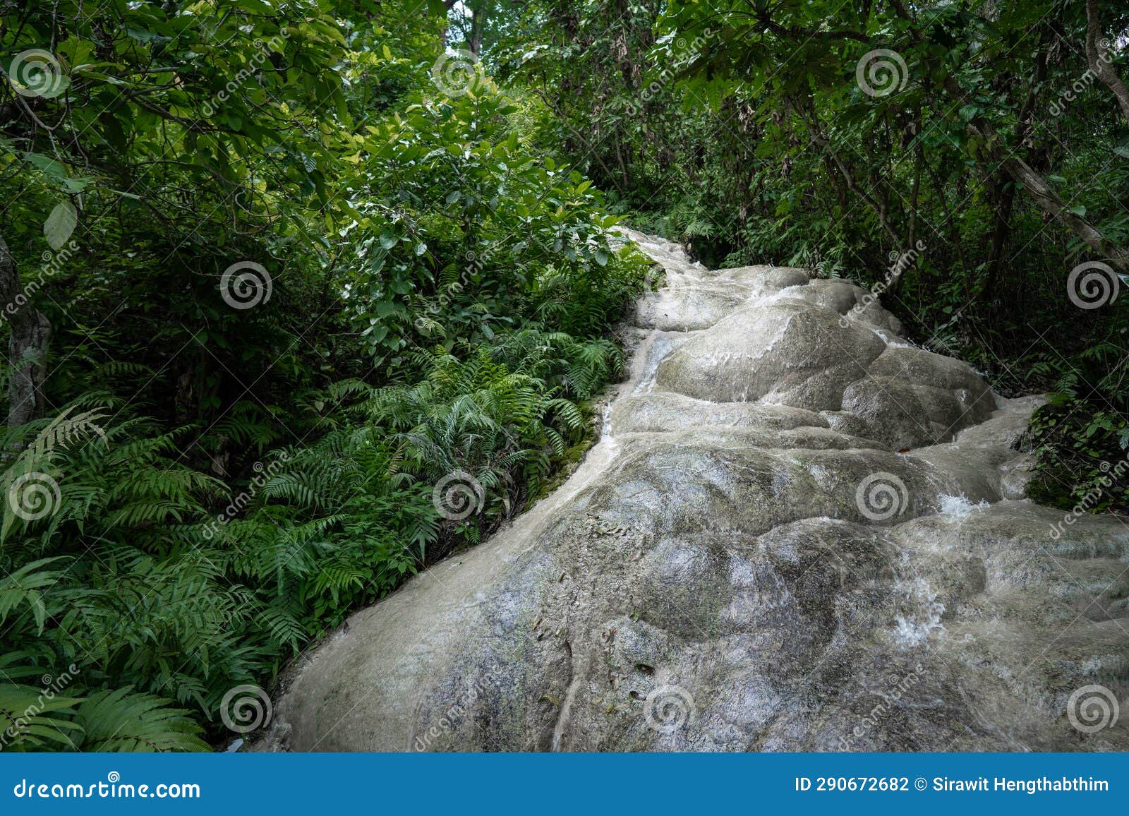 Bua Tong or Buatong Limestone Waterfall in the Jungle in Chiang Mai ...