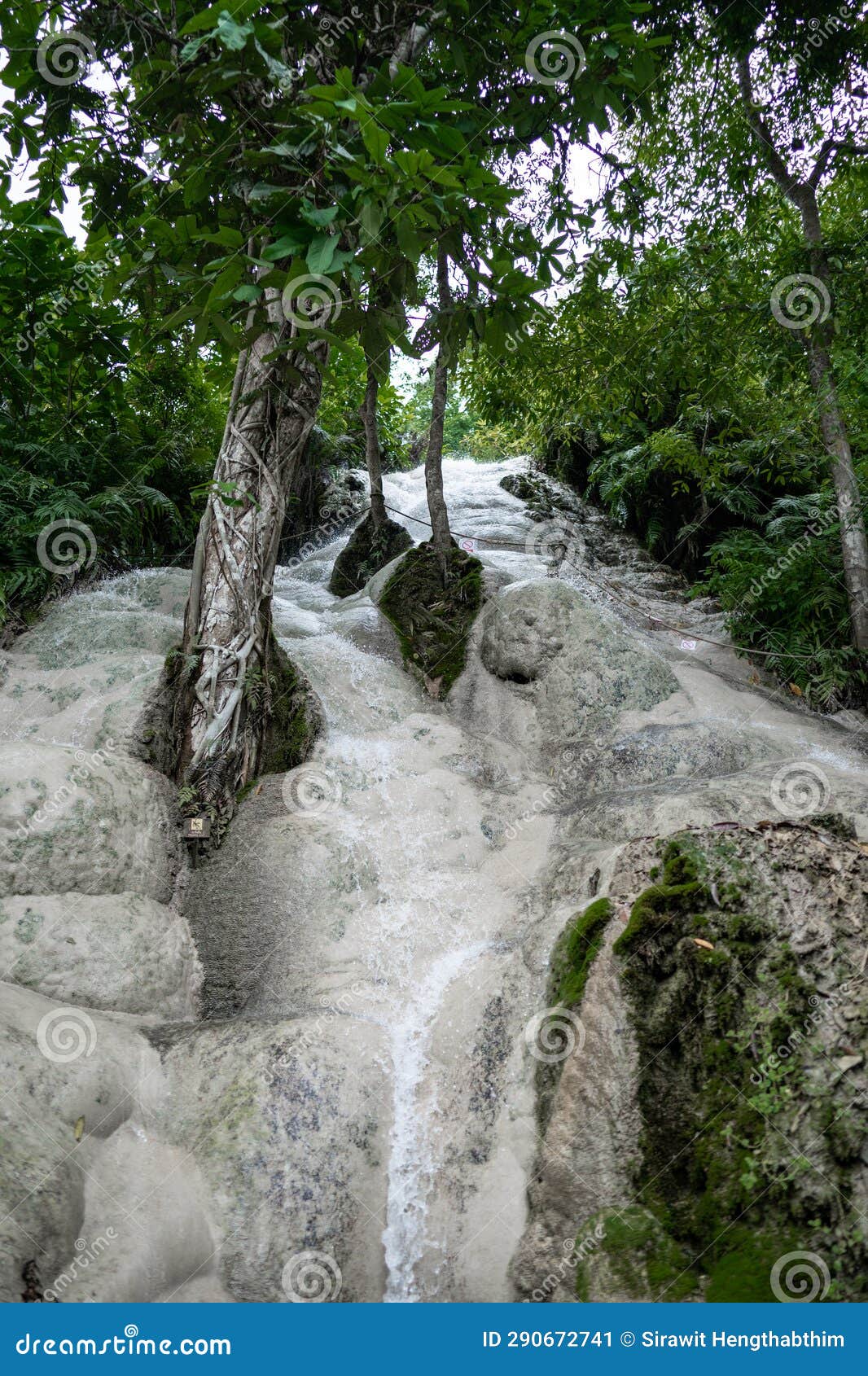 Bua Tong or Buatong Limestone Waterfall in the Jungle in Chiang Mai ...