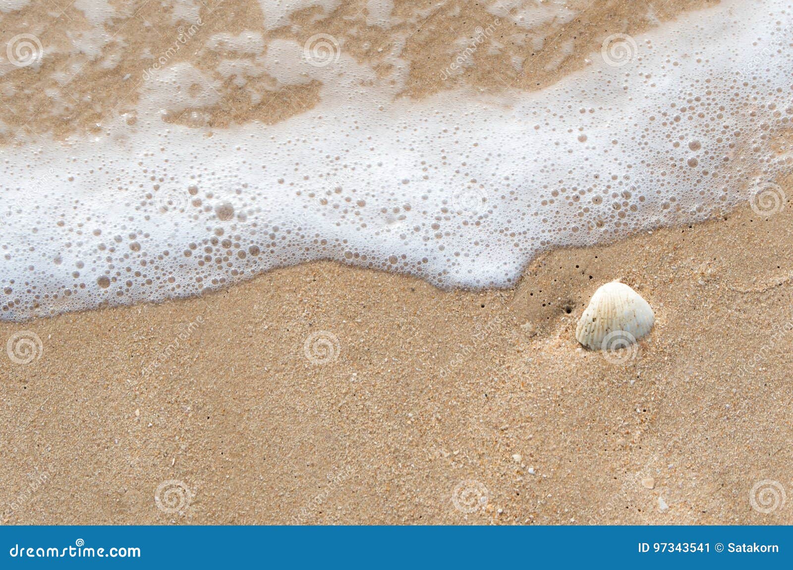 Bubble of Sea Wave on Sand Beach Stock Image Image of splash, wave