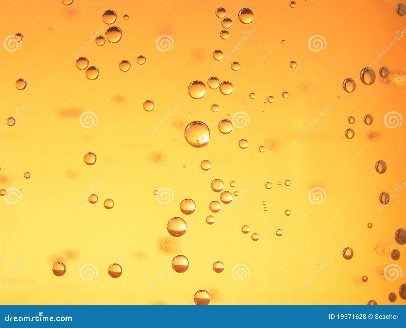 Bubbles in a beer stock photo. Image of abstract, cold 19571628