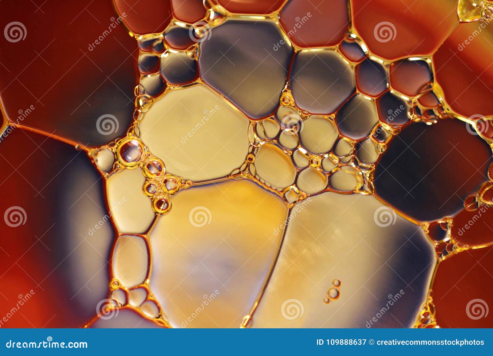 Bubbles, Chemistry, Closeup Picture. Image 109888637