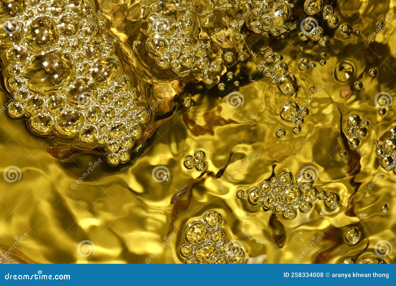 Bubbles and Golden Water in the Aquarium Stock Photo Image of glimpse