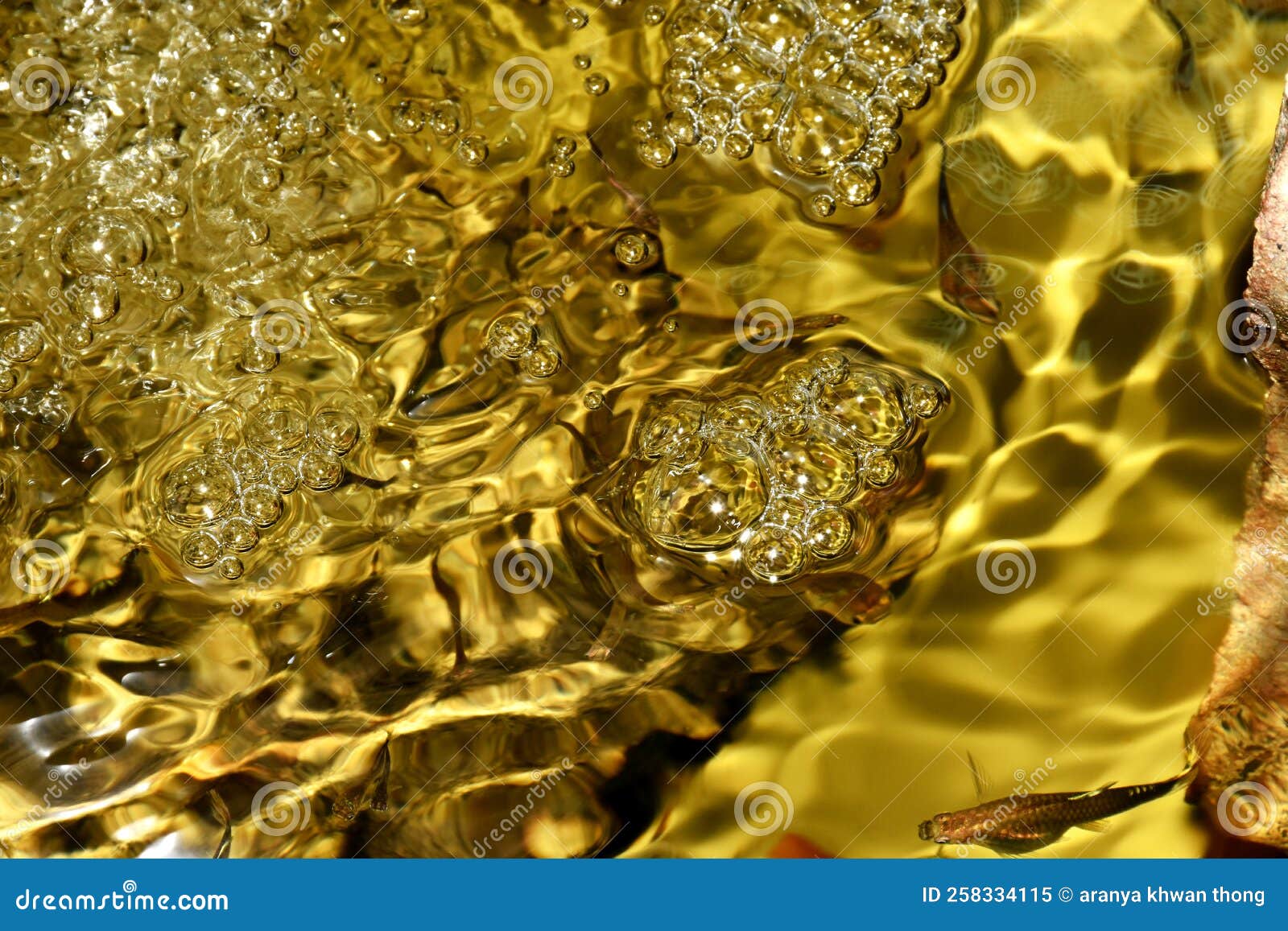 Bubbles and Golden Water in the Aquarium Stock Image Image of amber
