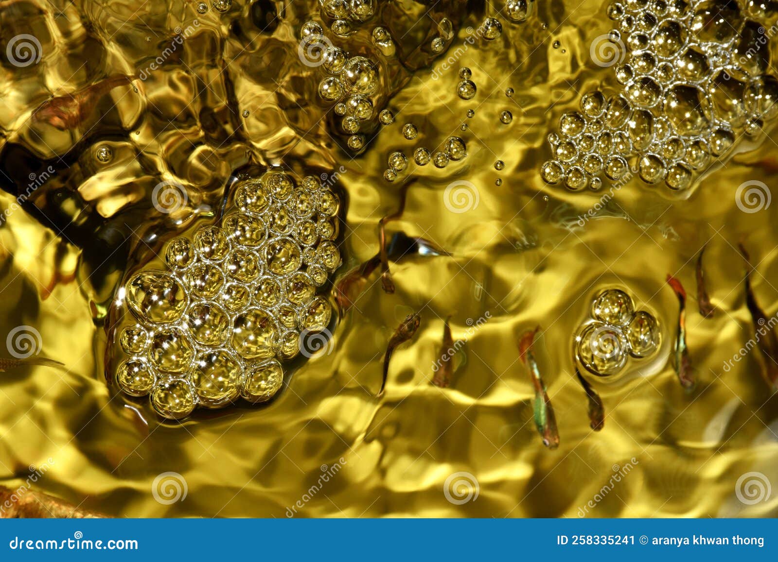 Bubbles and Golden Water in the Aquarium Stock Image Image of honey