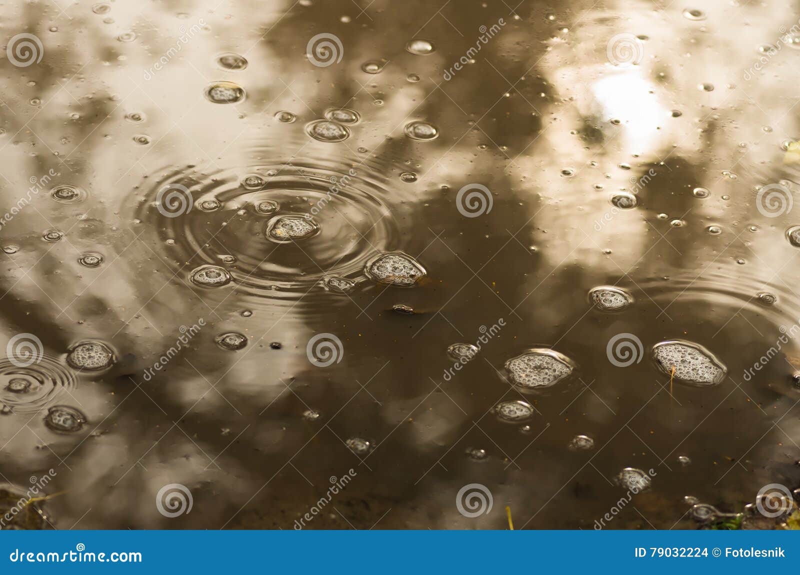 Bubbles and Leaves in a Muddy Puddle during Rain Stock Photo Image of