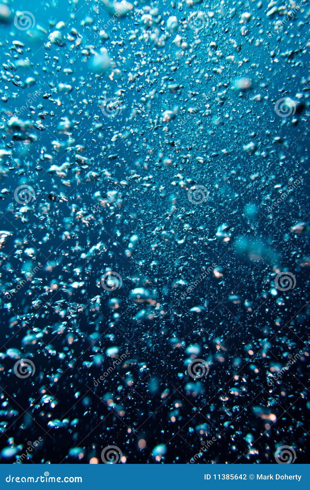 Ocean Bubbles