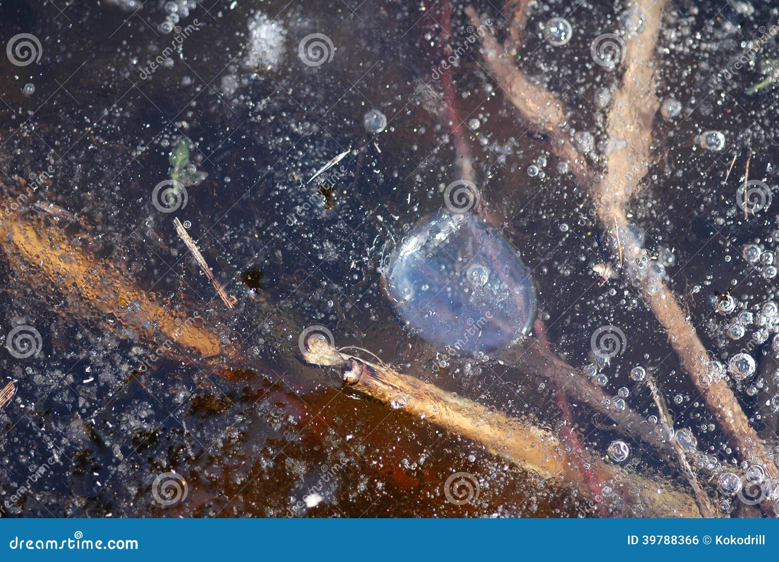 Bubbles on pond stock photo. Image of reflect, aquatic 39788366