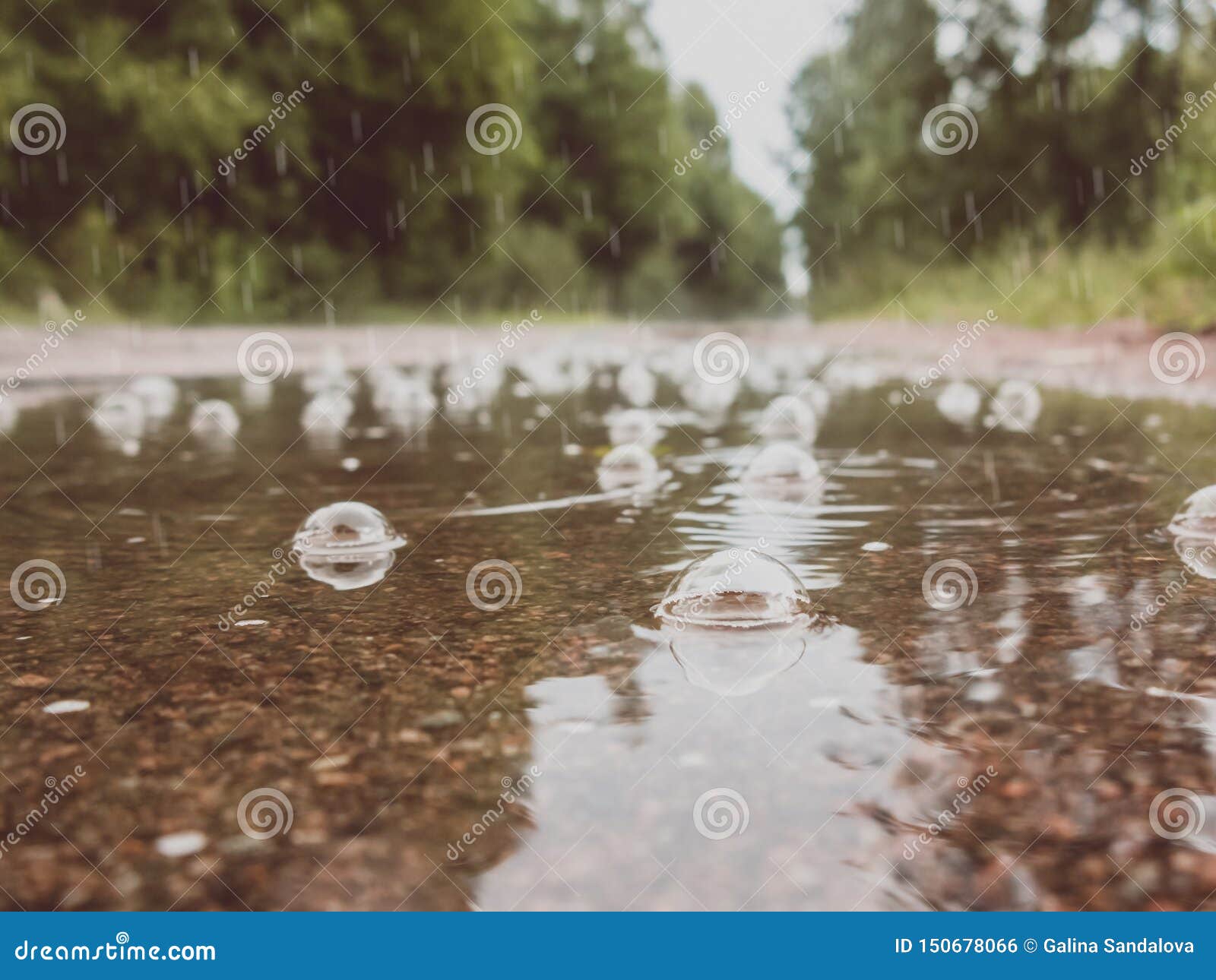 Bubbles in a Puddle on the Road in the Rain. Autumn Sadness Concept