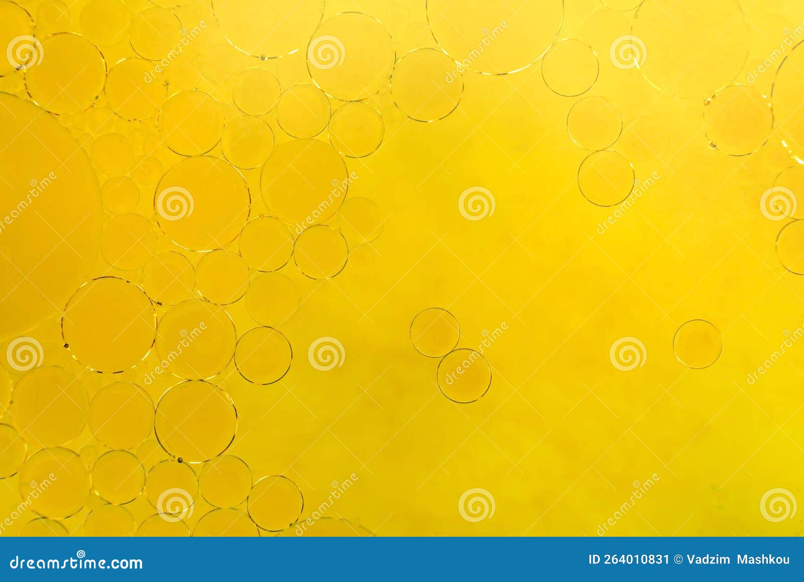 Bubbles of Vegetable Oil or Fat in Water. Olive Oil in Liquid Stock