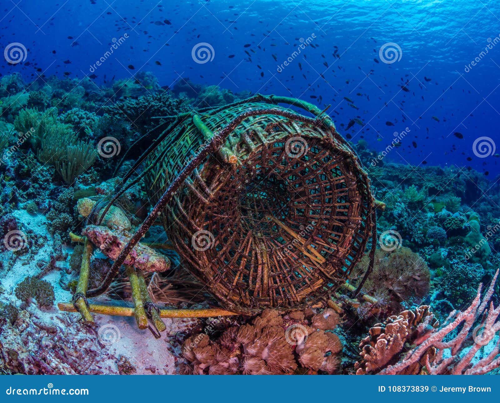 traditional bamboo woven fish trap